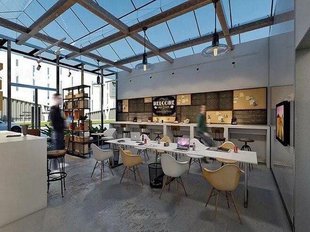 顺德野生海参哪里买